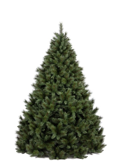 Χριστουγεννιάτικο δέντρο πράσινο colorado Gran sasso 240cm 2535tips με μεταλλική βάση