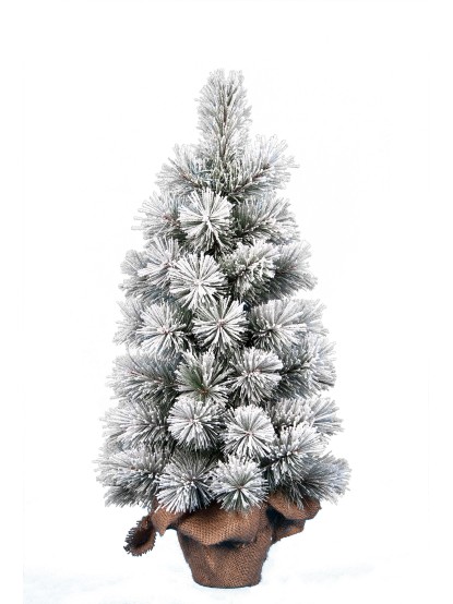 Χριστουγεννιάτικο δέντρο colorado χιονισμένο 60cm 44 tips