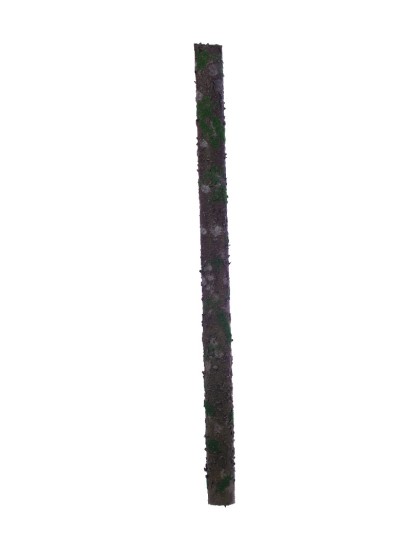 Κορμός ξύλου με πόα 100cm